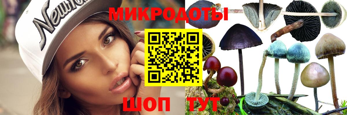 Галлюциногенные грибы Psilocybine cubensis Аргун