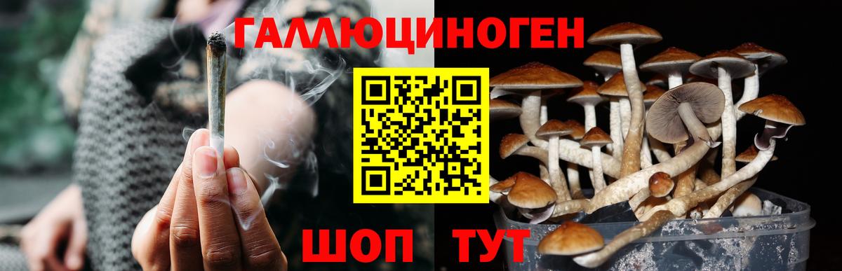 купить наркотики сайты  Галлюциногенные грибы Magic Shrooms  Вход с VPN  Галлюциногенные грибы мицелий  Аргун 