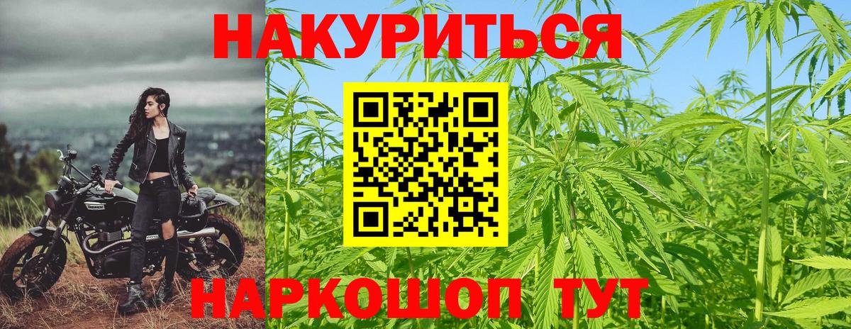 Конопля ГИДРОПОН Аргун